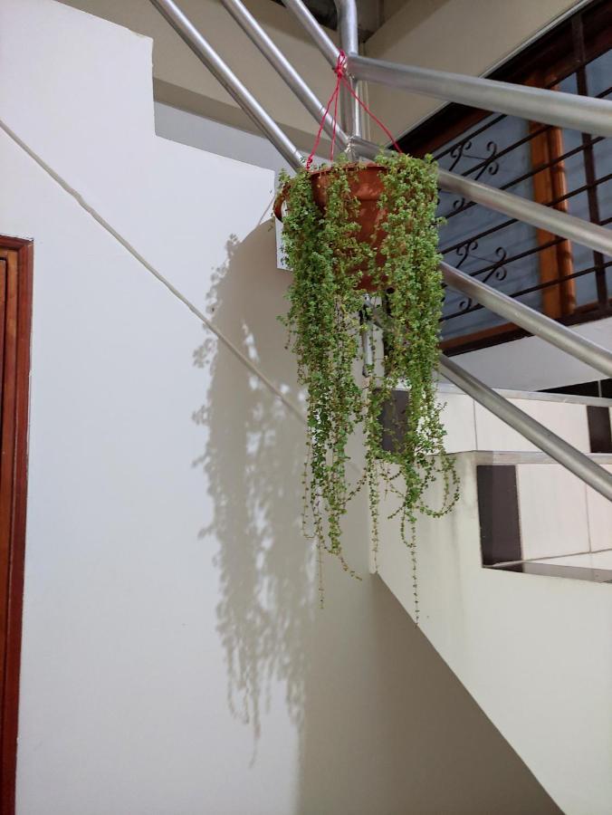 Hotel Tambopata Inn Puerto Maldonado Eksteriør billede